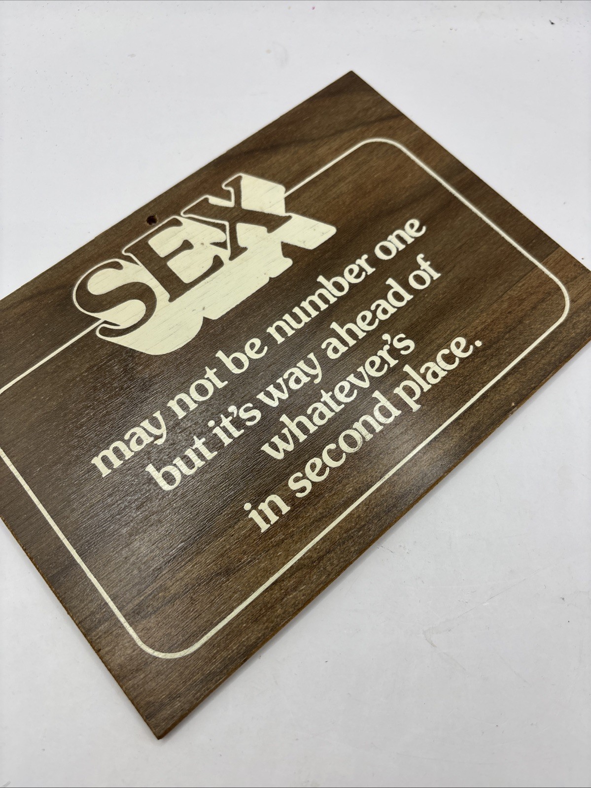 Vintage Novelty Funny Workplace Wood Decor Wall Plaque – Sex 8×5.5