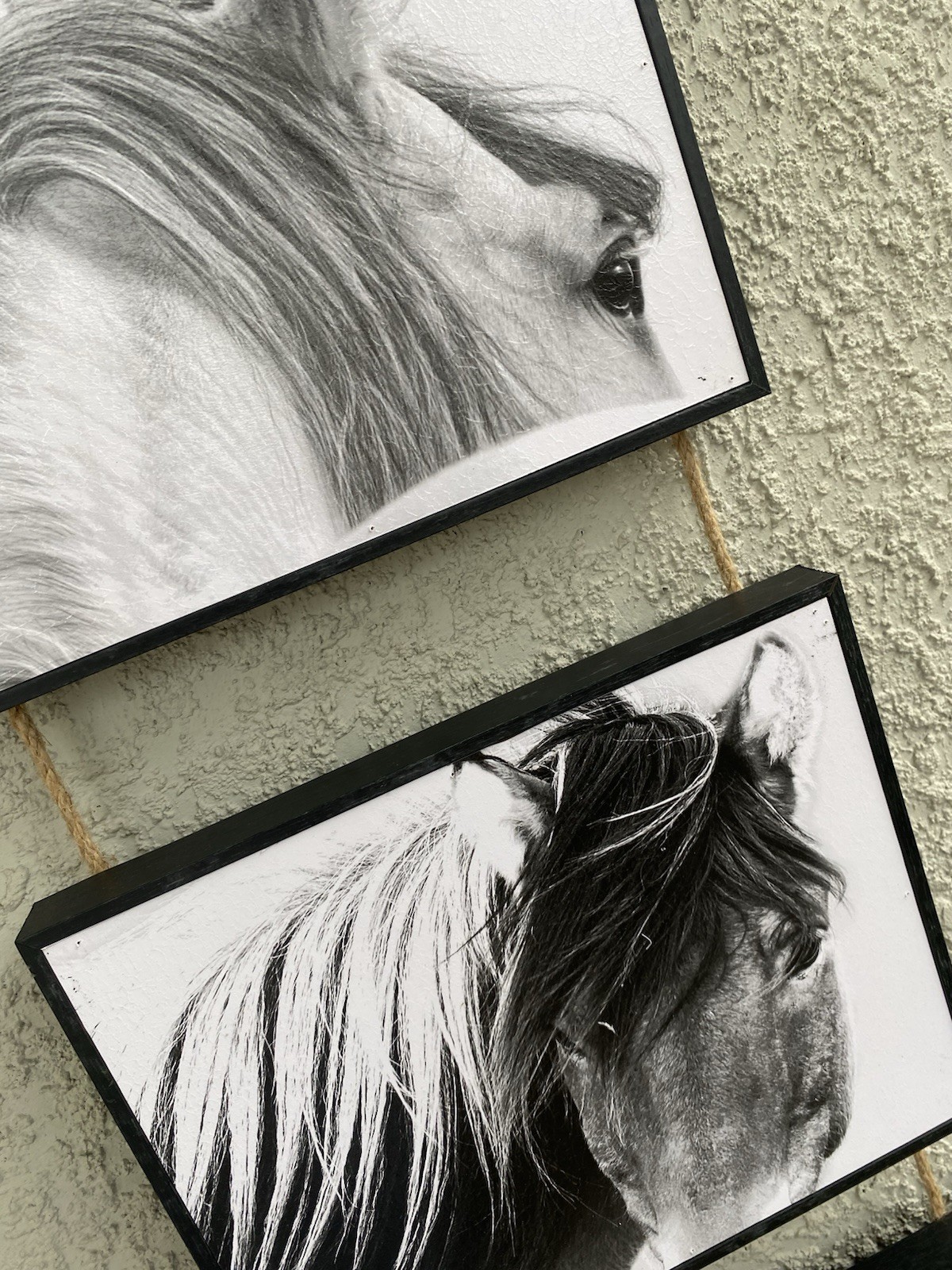 Horse Wall Art Black White Wood Canvas Sign Modern Animal Print Decor