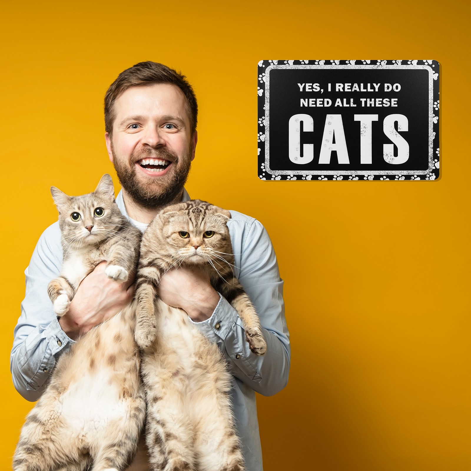 Funny Yes I Really Do Need All These Cats Sign Wall Art Living Room Home Decor