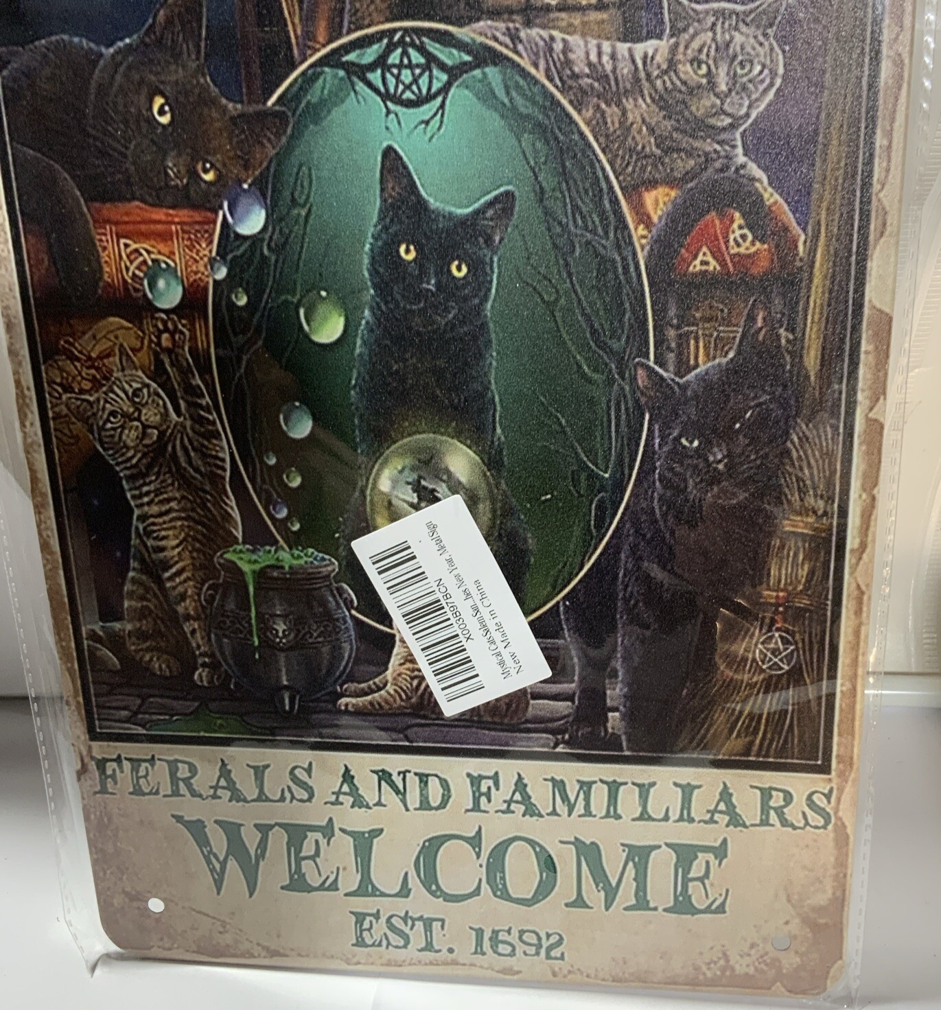 Mystical Black Cat Metal Tin Sign ” SALEM CAT SANCTUARY ” 8×12”