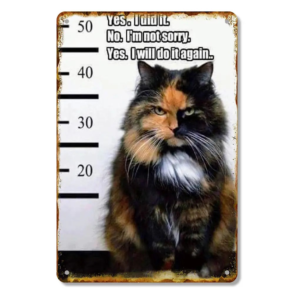 Cat Metal Sign Humorous Cat Confession Aluminum Sign 8×12 Funny Retro