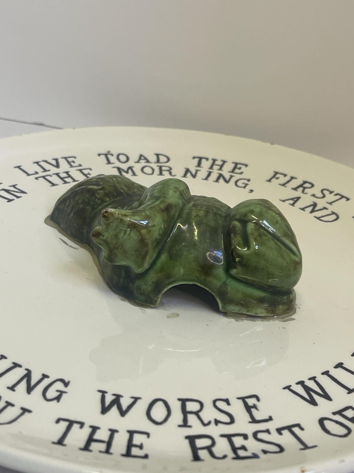 Eat A Live Toad Decorative 3-D Plate Mark Twain Quote Handmade Vintage