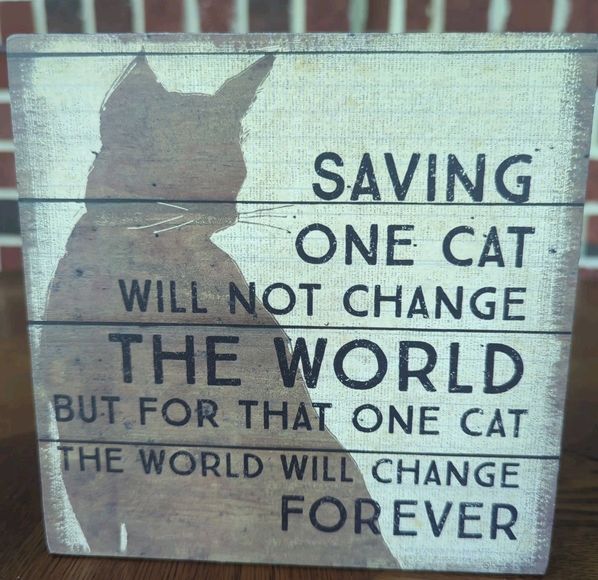 Primitives by Kathy Box Sign – Saving One Cat Will Not Change The World
