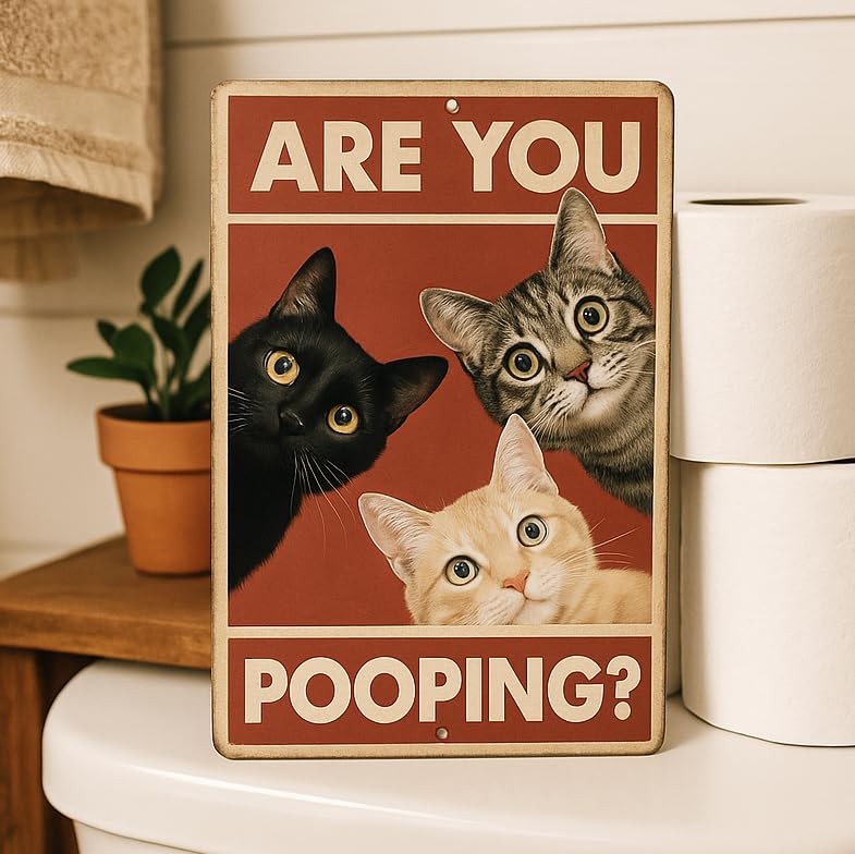 Funny Cat Sign 8×12 Are You Pooping Wall Art Bathroom Decor