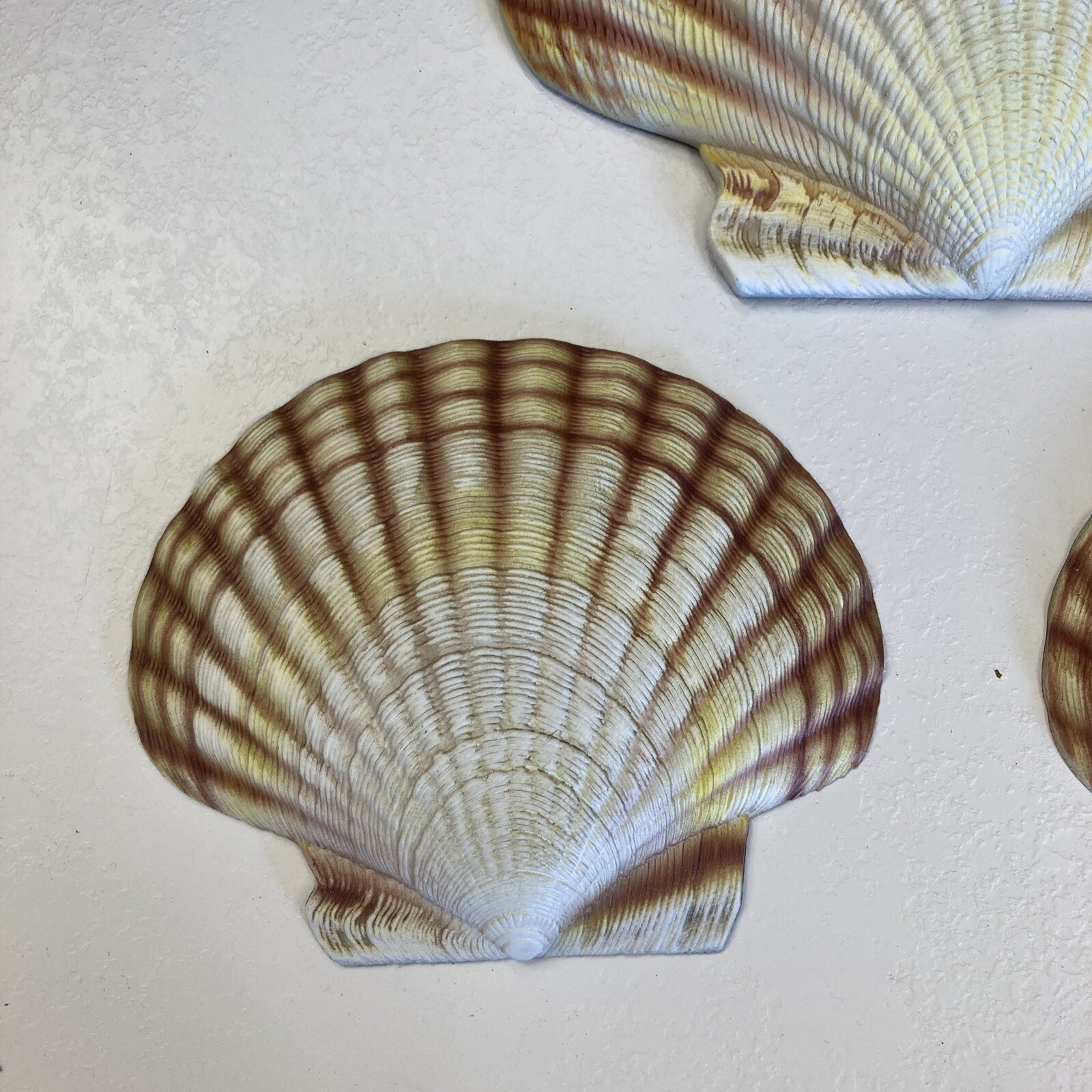CIT Collection Hand Painted Wall Mounted (1) Large 7.5” (2) Small 5.5” Seashells