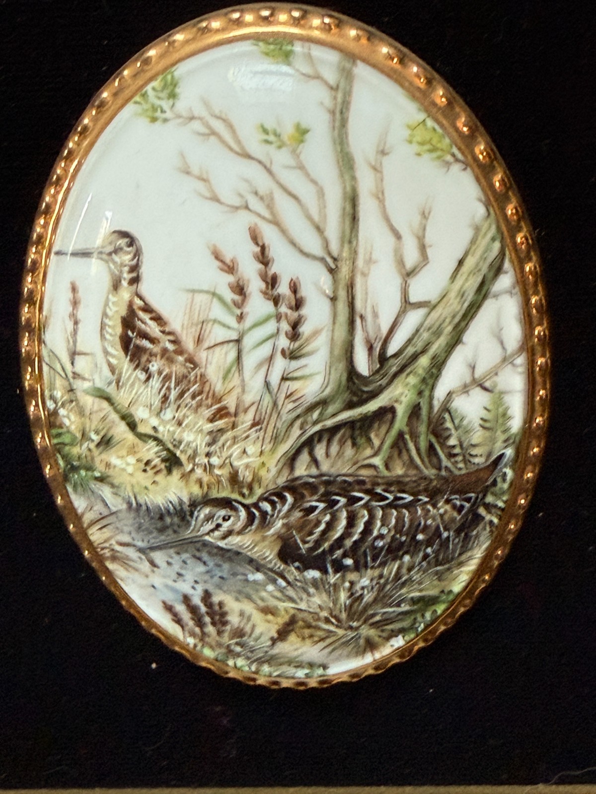 Countess Fine Bone China Bird Plaque Framed Gold Staffordshire England
