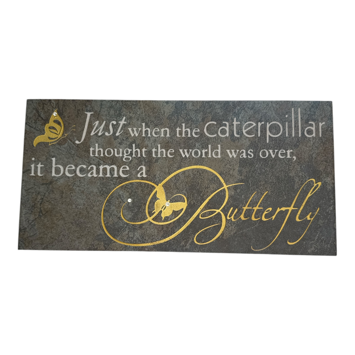 Motivational Laser Etched Sign Display Easel Caterpillar to Butterfly Home Decor