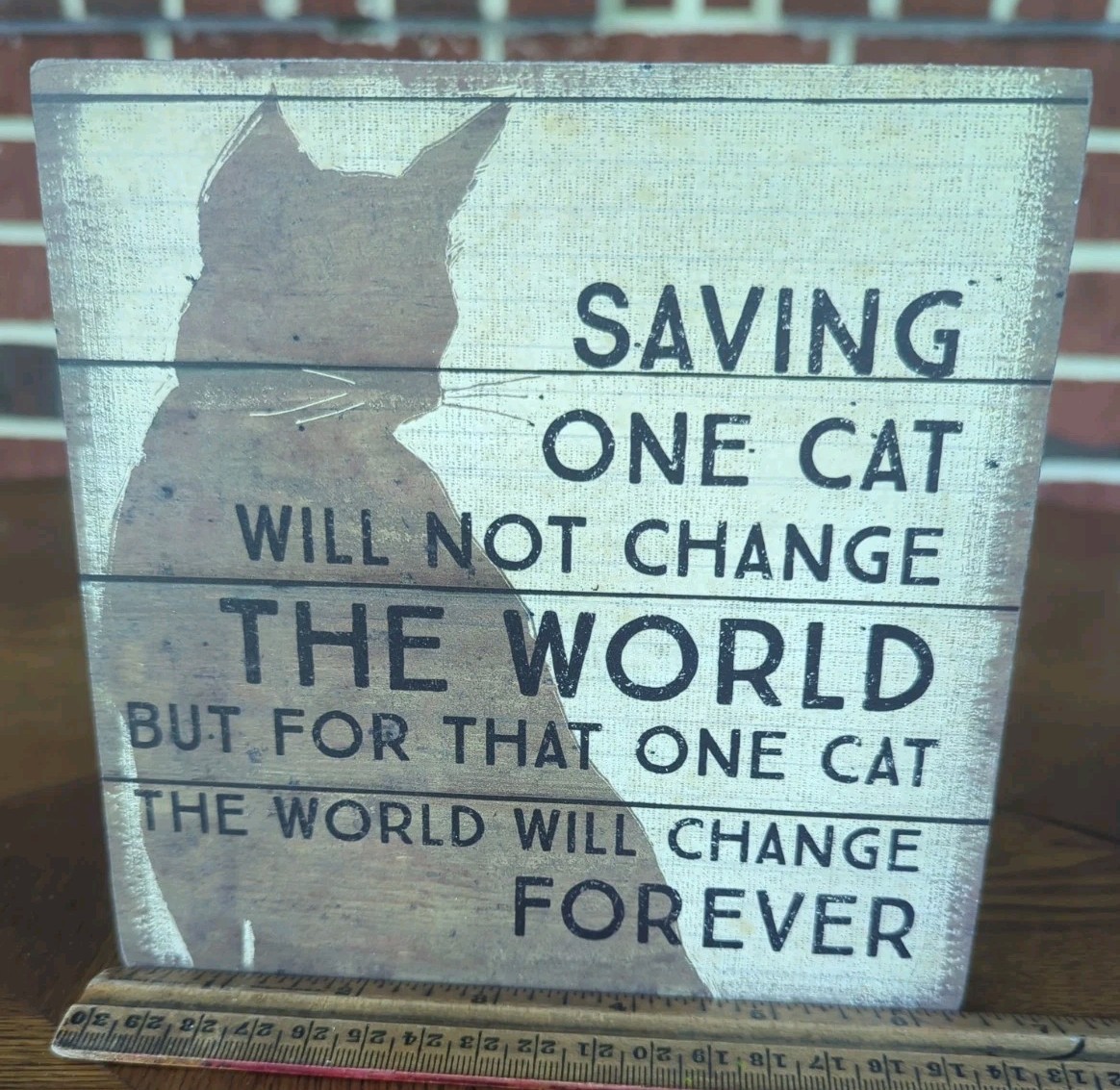 Primitives by Kathy Box Sign – Saving One Cat Will Not Change The World