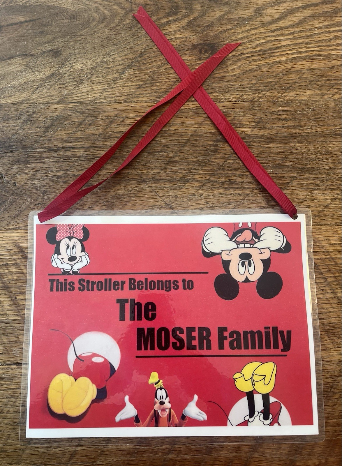 Disney Stroller & Scooter Name Tag – Personalized Family ID Sign: Moser