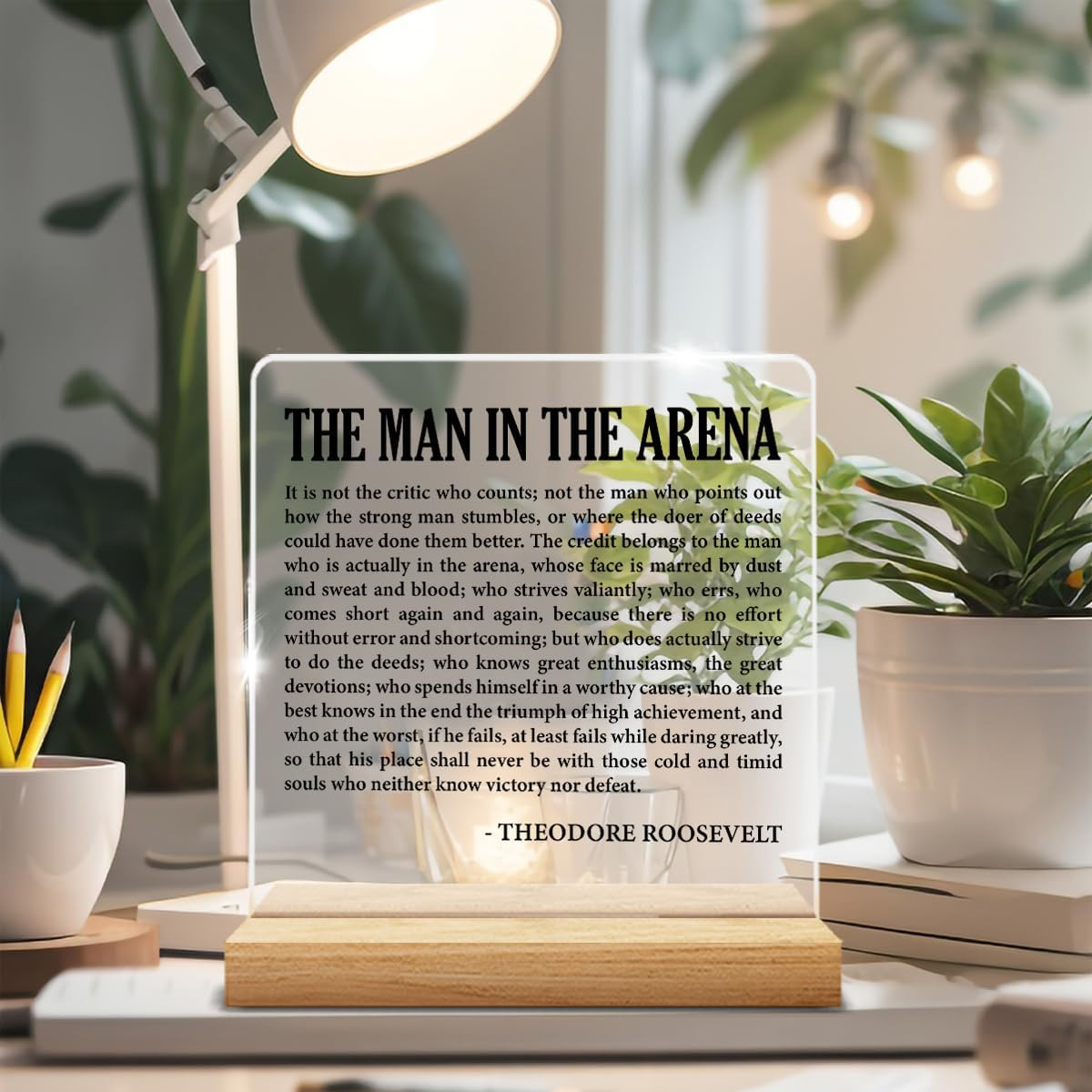 Motivational Desk Decor Inspirational the Man in the Arena Acrylic Plaque Sign W