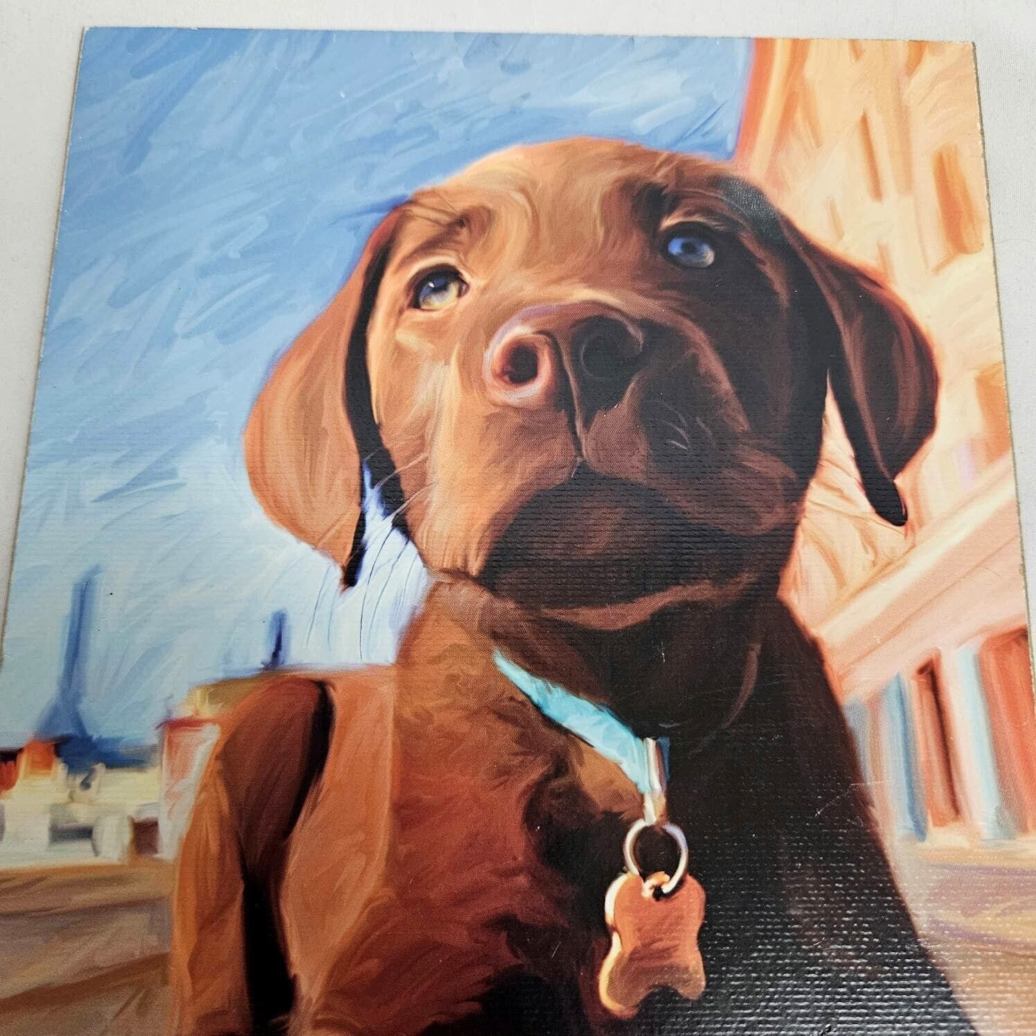 Robert McClintock Dog Portrait Wall Art Set of 2 Multicolor Puppy Wood Blocks