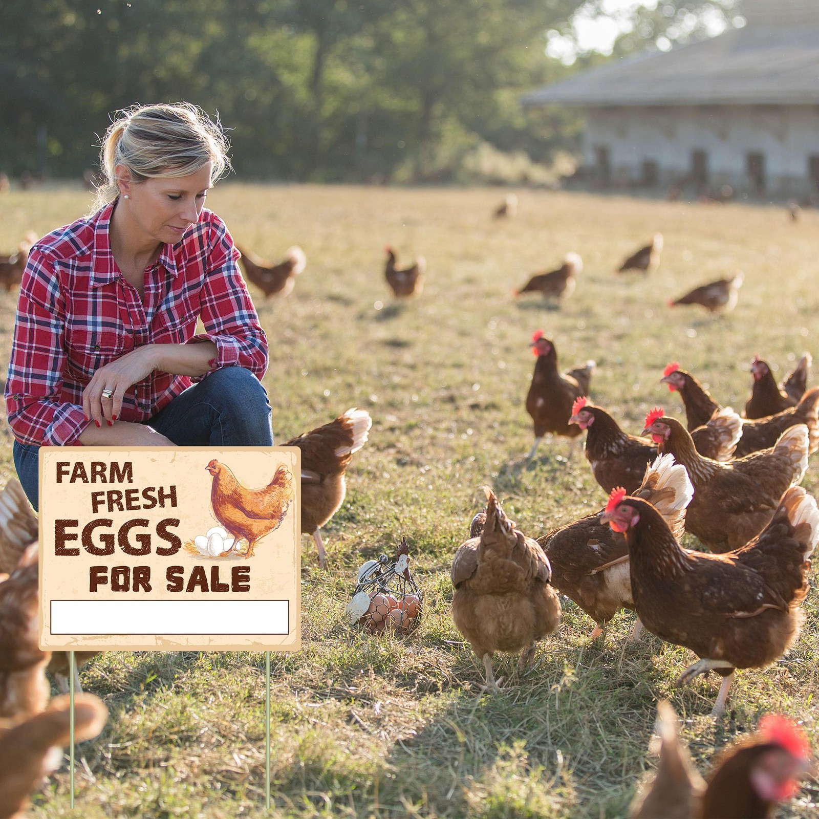 Farm Fresh Eggs Sign Double Sided Corrugated Plastic Yard Business Decor 3PC 14″