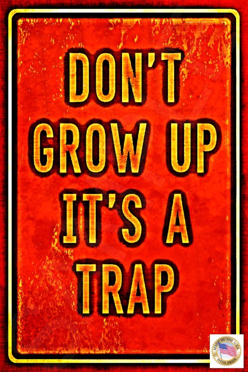 DON’T GROW UP FUNNY SIGN 8X12 METAL MADE IN USA METAL MAN CAVE BAR GRADUATION