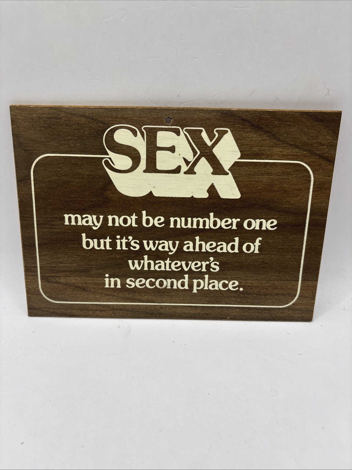 Vintage Novelty Funny Workplace Wood Decor Wall Plaque – Sex 8×5.5