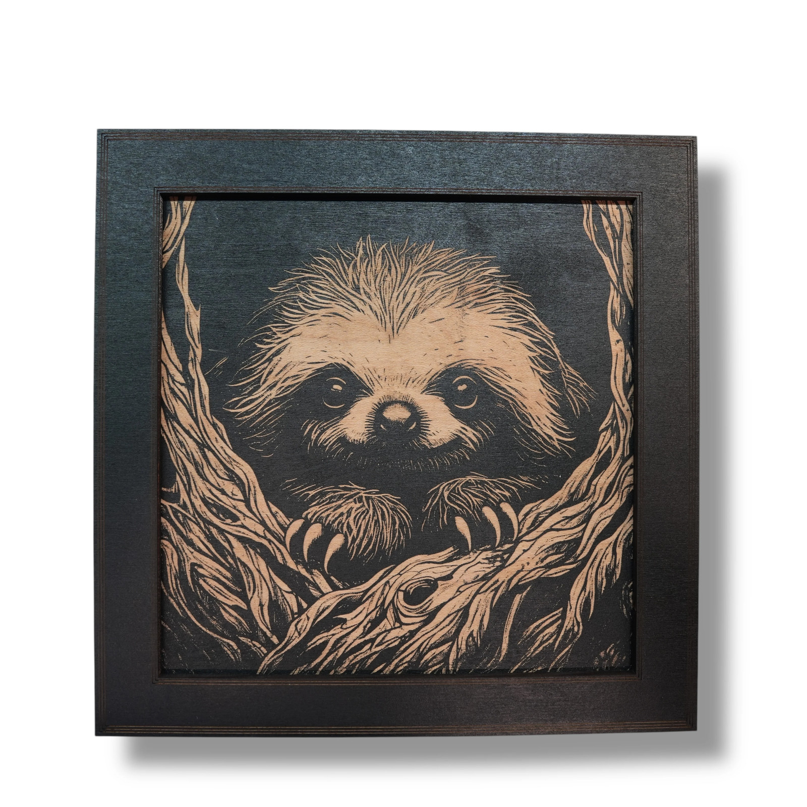 Framed Art – Sloth