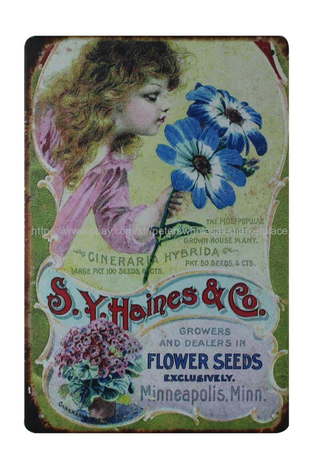 1899 S.y.Haines & co. flower seeds girl metal tin sign posters for sale online