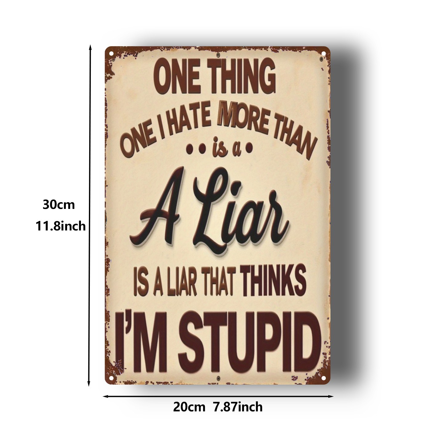 Metal Sign “Lies And Stupidity” Warning 8X12 Inches