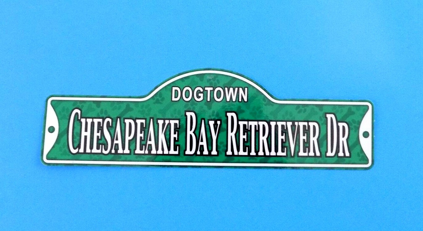 Dogtown – Chesapeake Bay Retriever Dr ~ Laminated Plastic Dog Street Sign ~ New