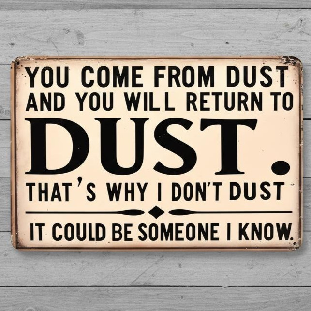 Why I don’t Dust Humor 8 x 12 Vintage Novelty Metal Sign Made In USA