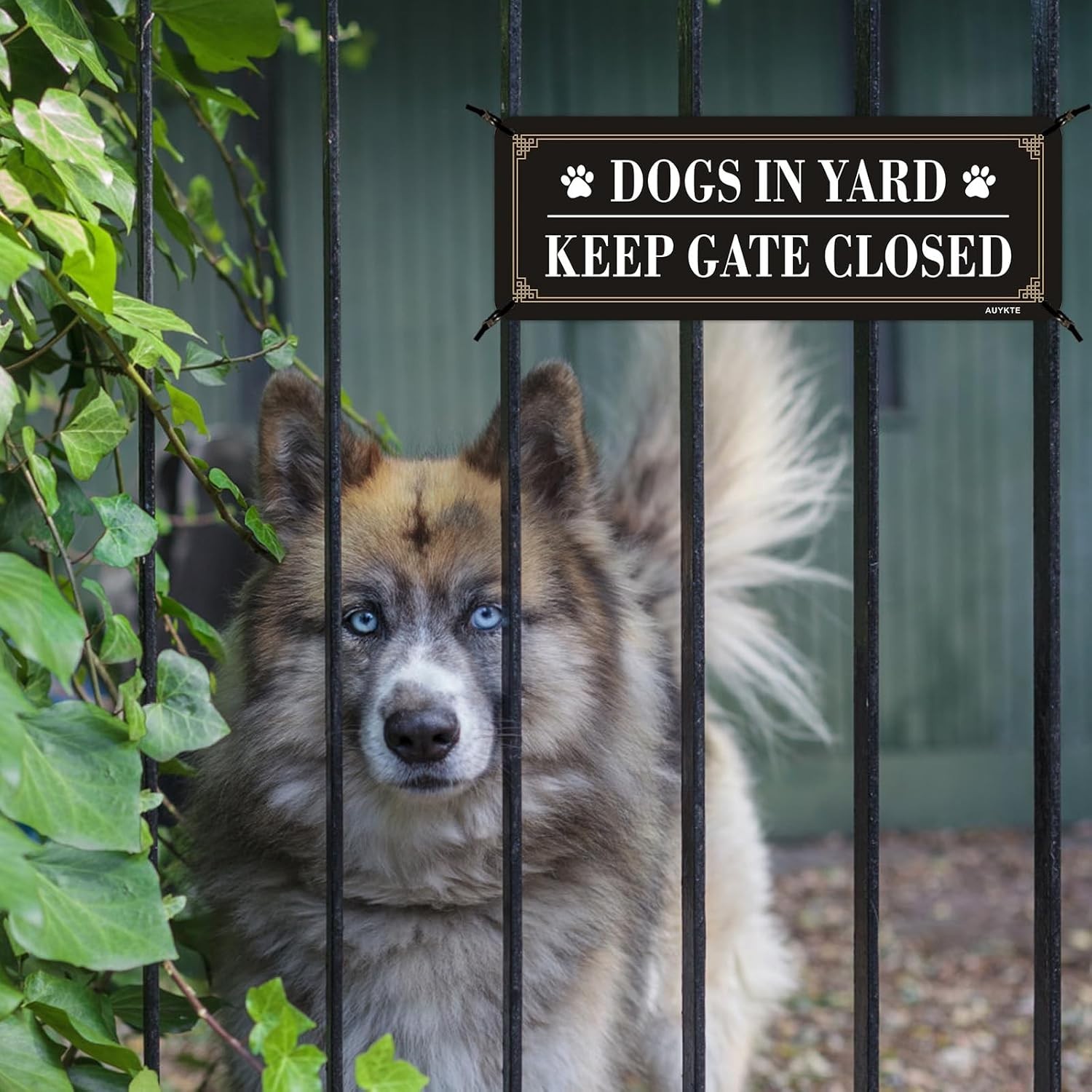 4 Pack Reflective Aluminum Signs: Dogs in Yard, Keep Gate Closed – 10×3.5 in