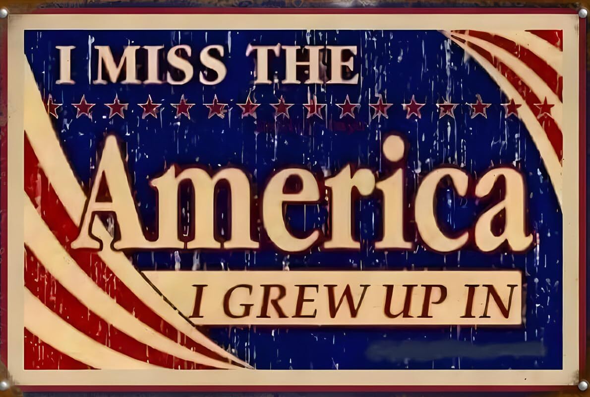 I Miss The America I Grew Up In Aluminum Weatherproof Funny Sign p1275