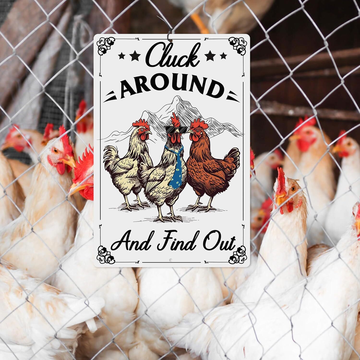 Putuo Decor Funny Chicken Sign Cluck Around And Find Out Metal Tin Sign Funny Wa
