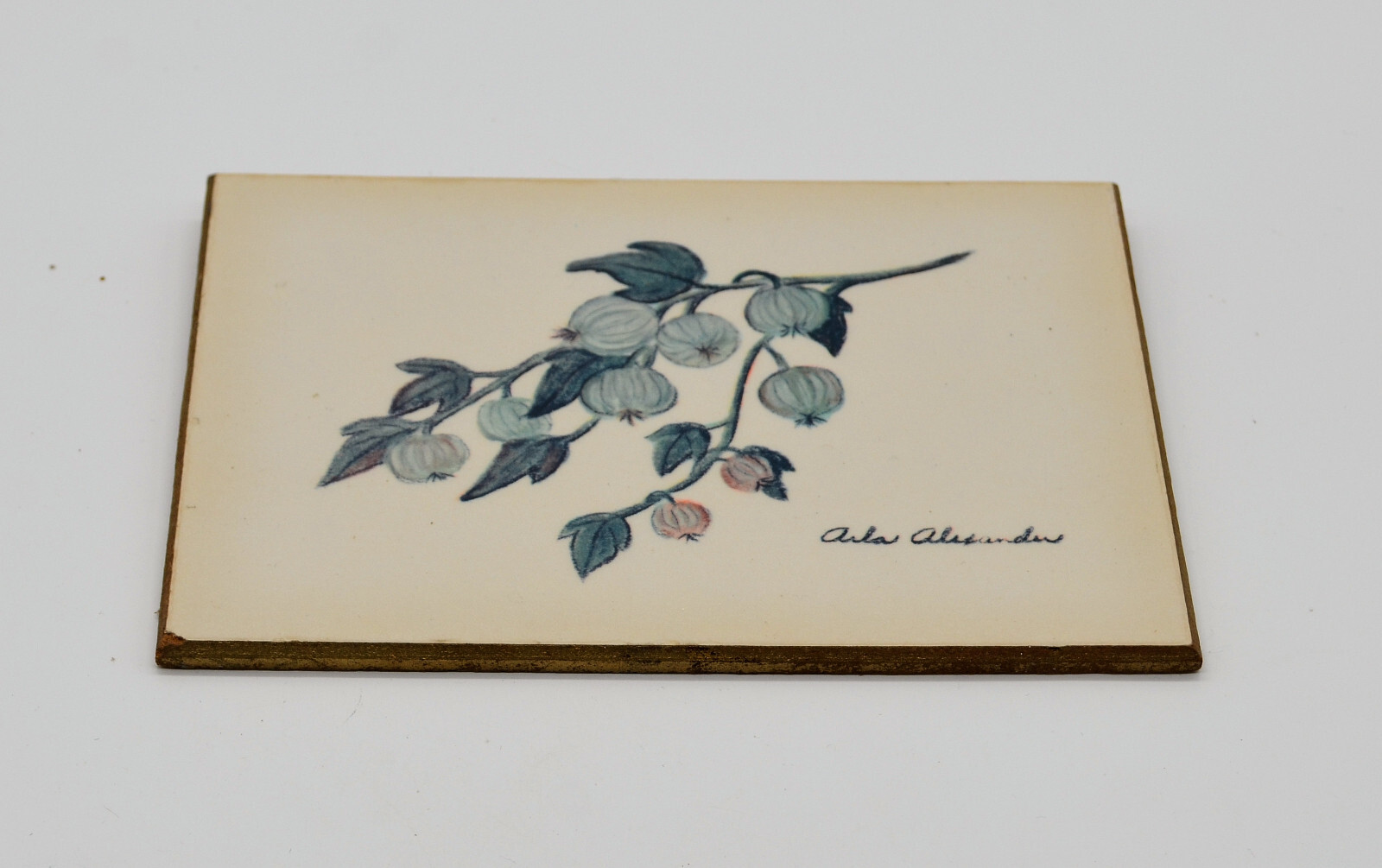 Arla Alexander Kentucky Art Plaque Unknown Plant Vintage 7” Long D-4