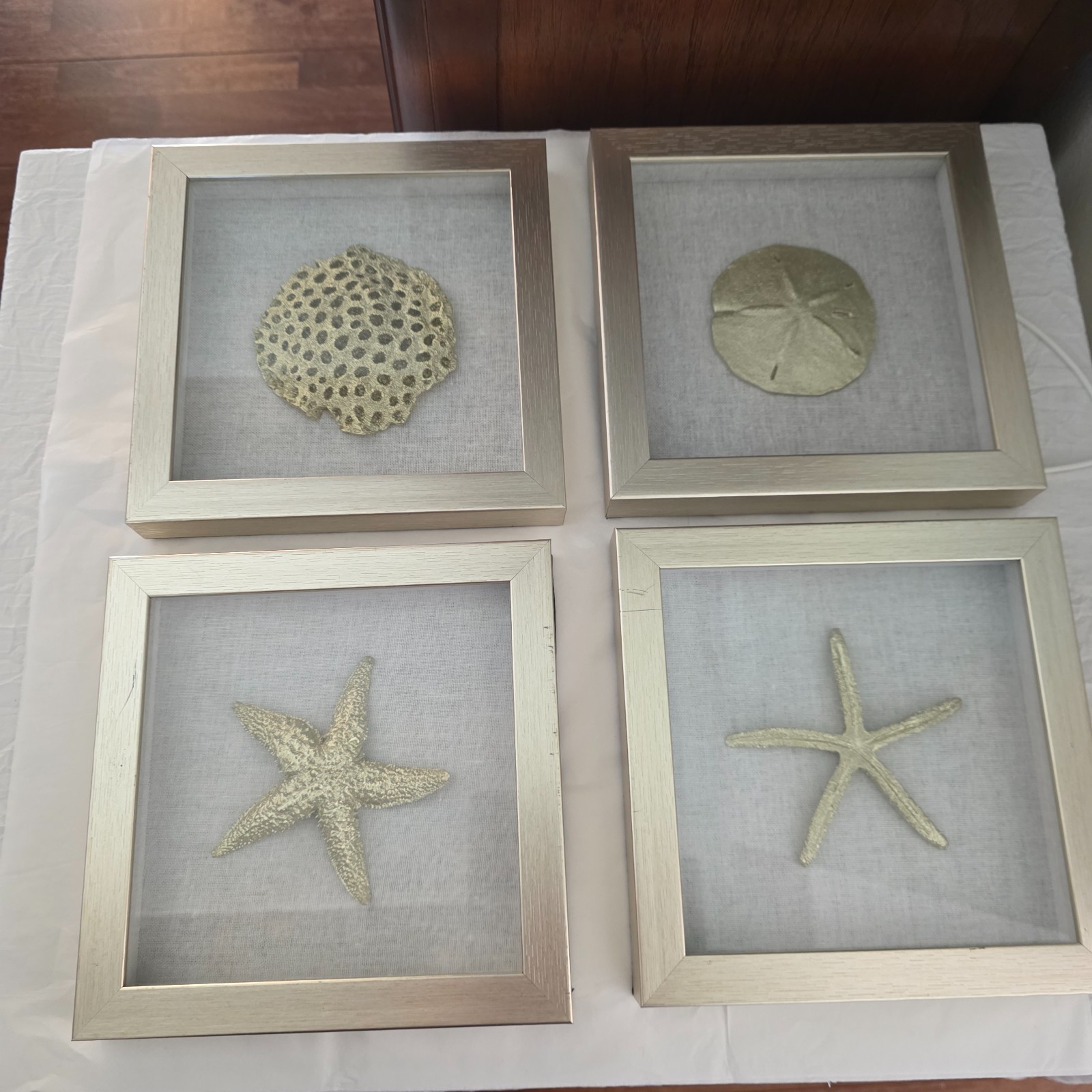 Starfish & Sand Dollar 3D Shadow Box Front Glass Cover Linen Interior Background