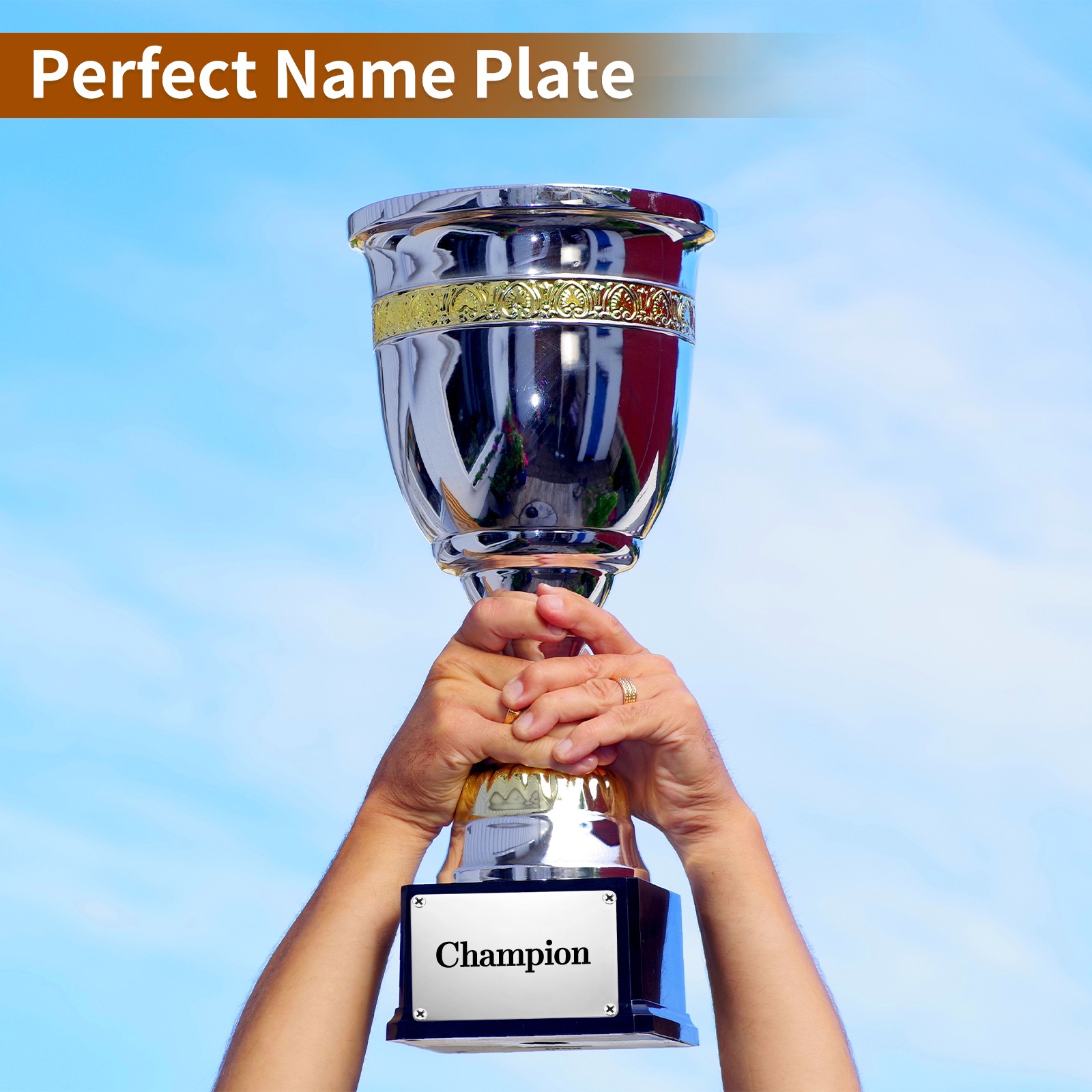 4Pcs Blank Name Plates, 3.1 x 2″ Mirror Engraved Plate with 4 Holes, Silver