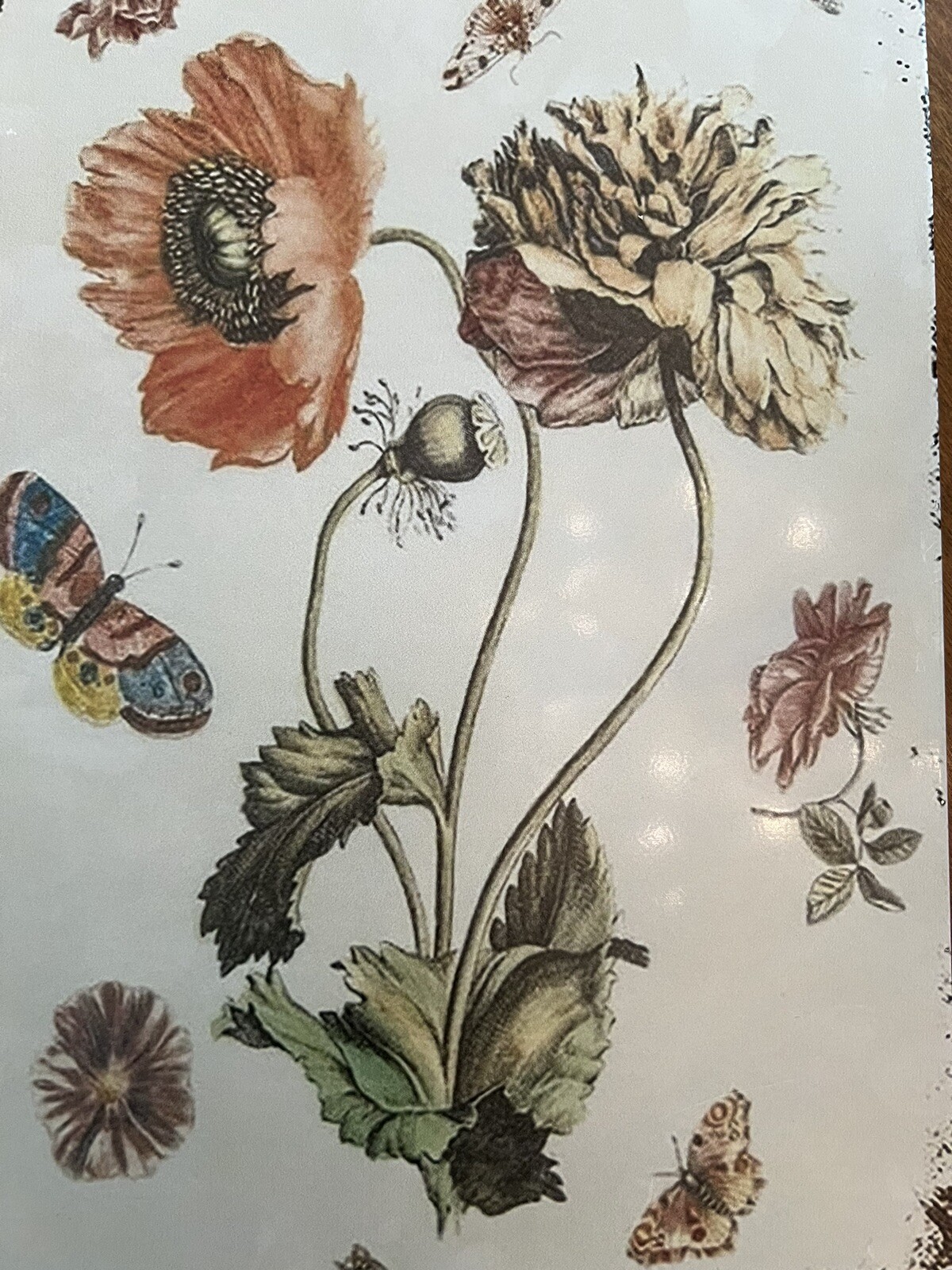 2 Decorative Vintage French Country floral WALL ART tin signs 8″ x 12″ each (CD)
