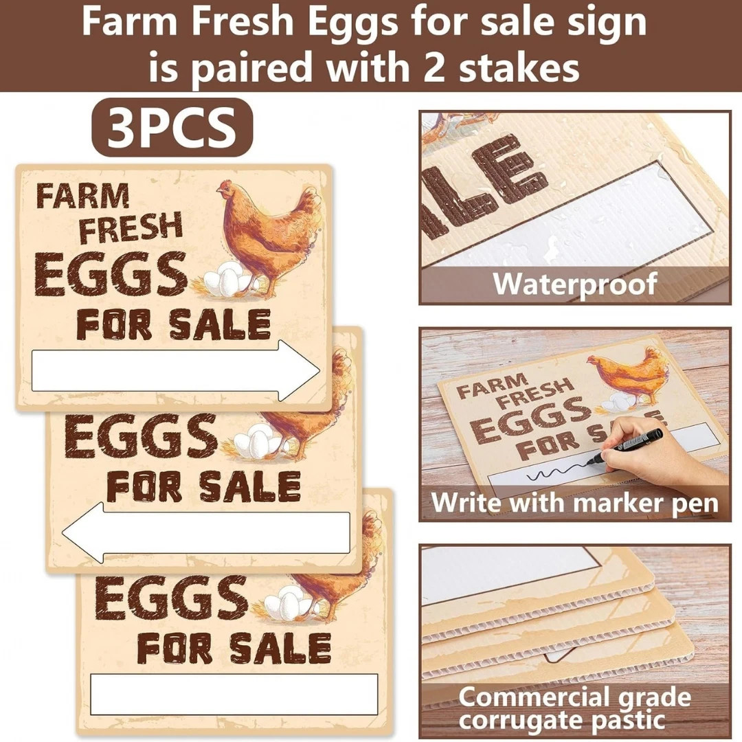 3Pcs Double Sided Farm Fresh Eggs Sign Eggs for Sale Sign Corrugated Plastic Fre