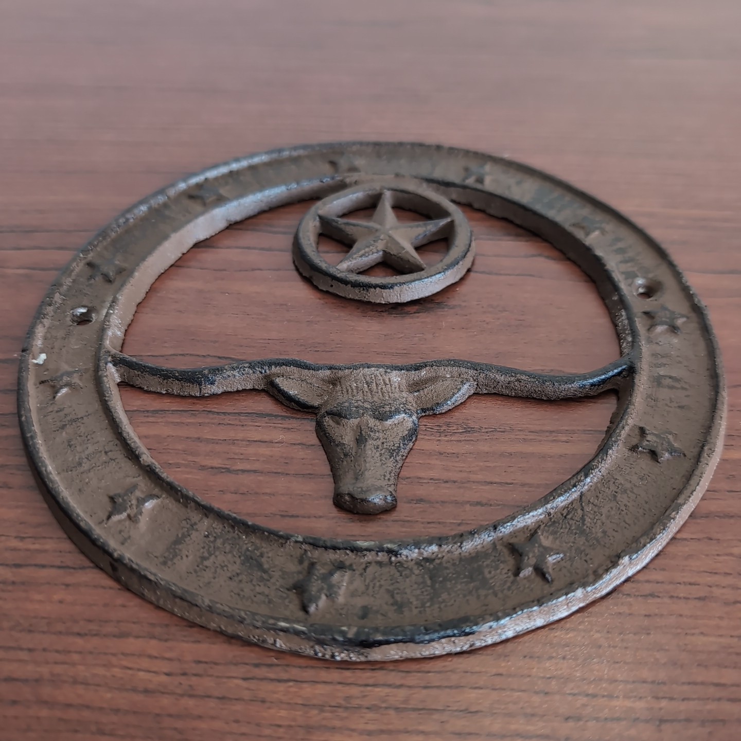 VTG Cast Iron Wall Plaque Texas Longhorn Cowboy Rodeo Barn Horse Design