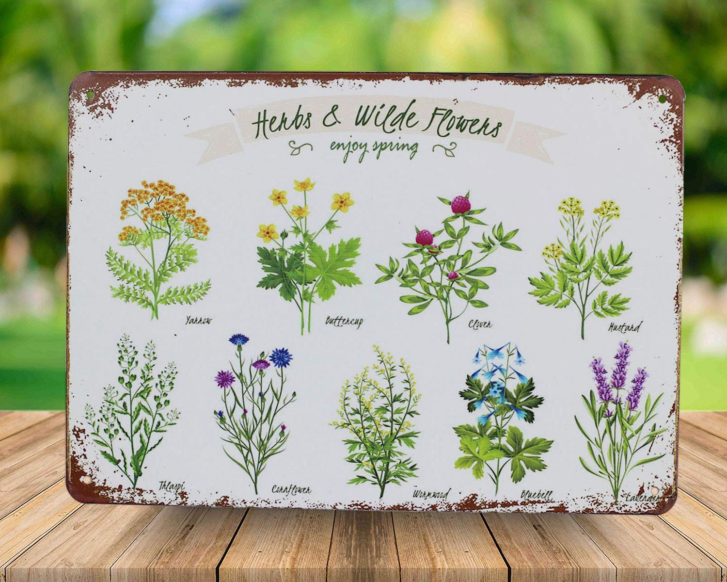 SUMIK Wildflowers Herbs Florals Botanical, Metal Tin Sign, 8″L x 12″W, Black