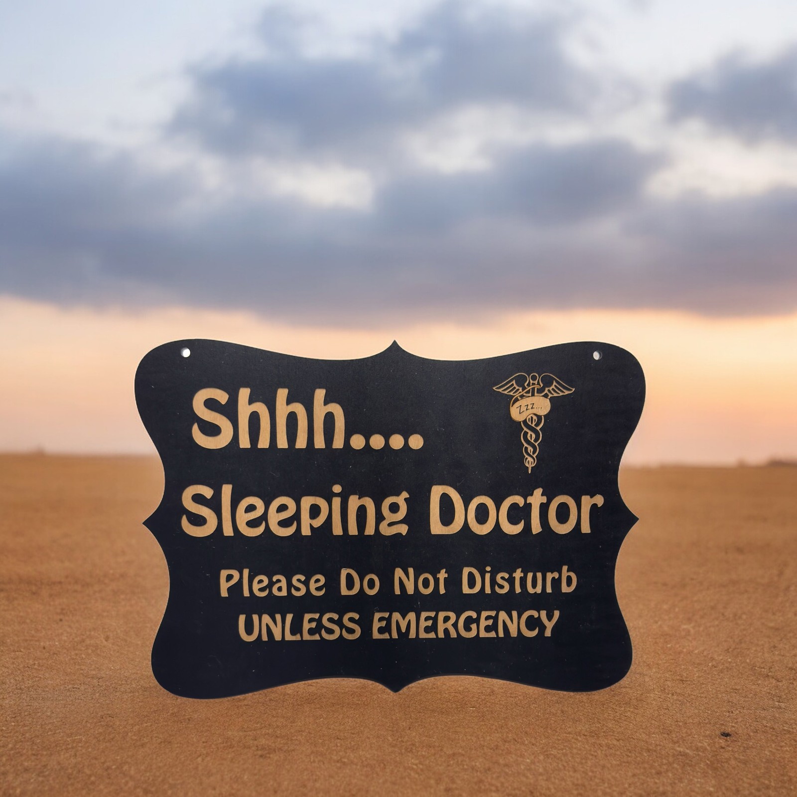 Shhh Sleeping Doctor Door Sign 9×6.5in Painted Wood