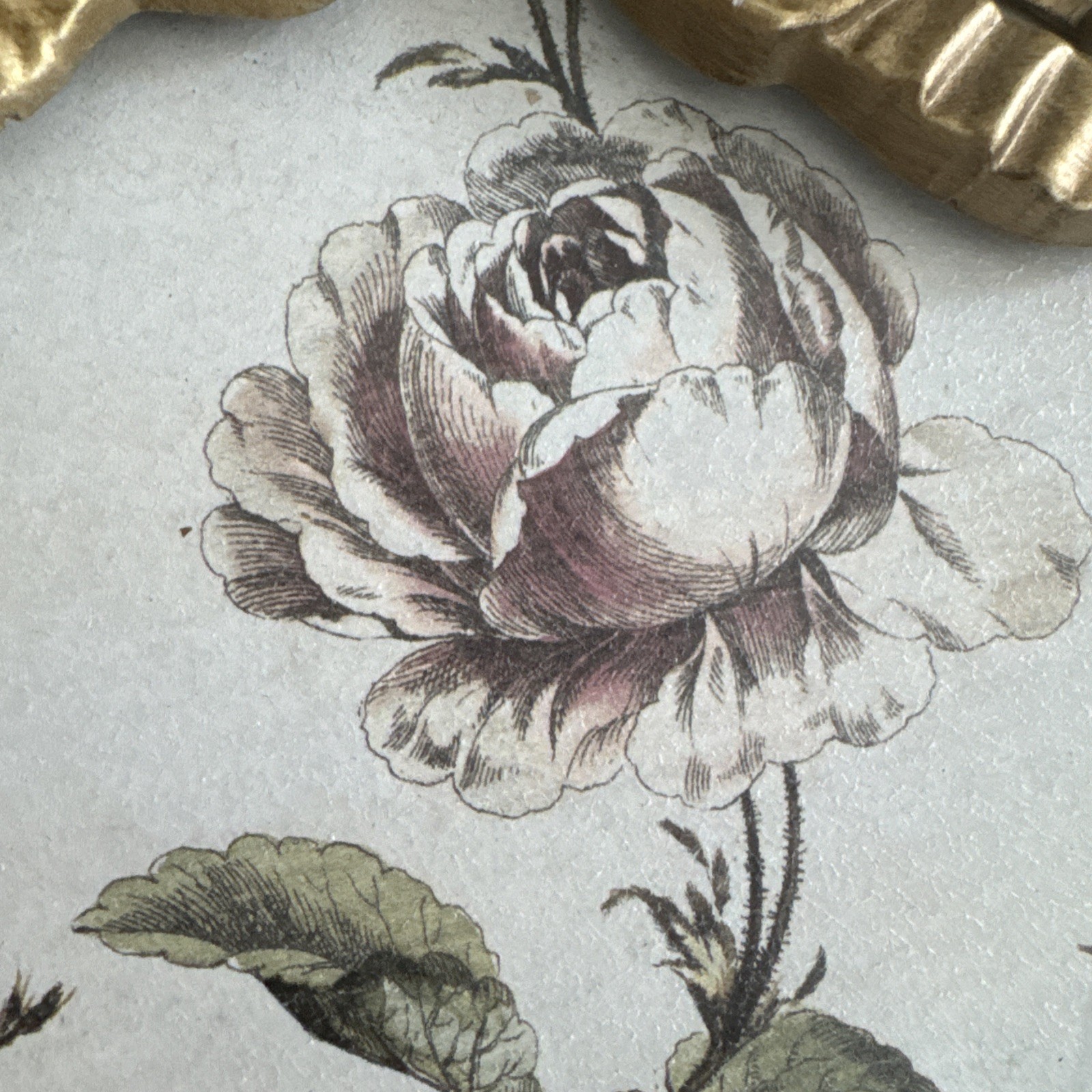 Vintage Gold Oval Framed Floral Wall Decor Roses Bow Shabby Chic French Country
