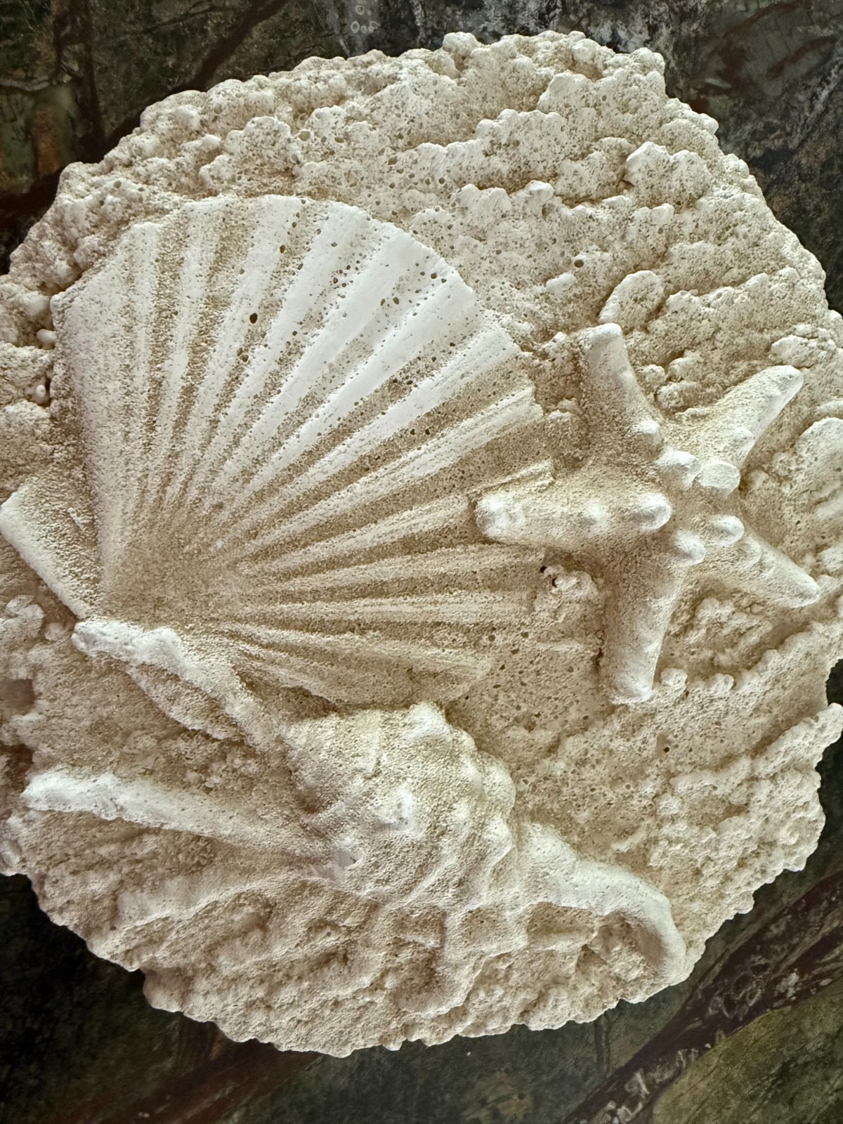 Seashell Wall Plaque Starfish Shells 8 1/2 x 9″ Cast Stone Cement Coastal Decor
