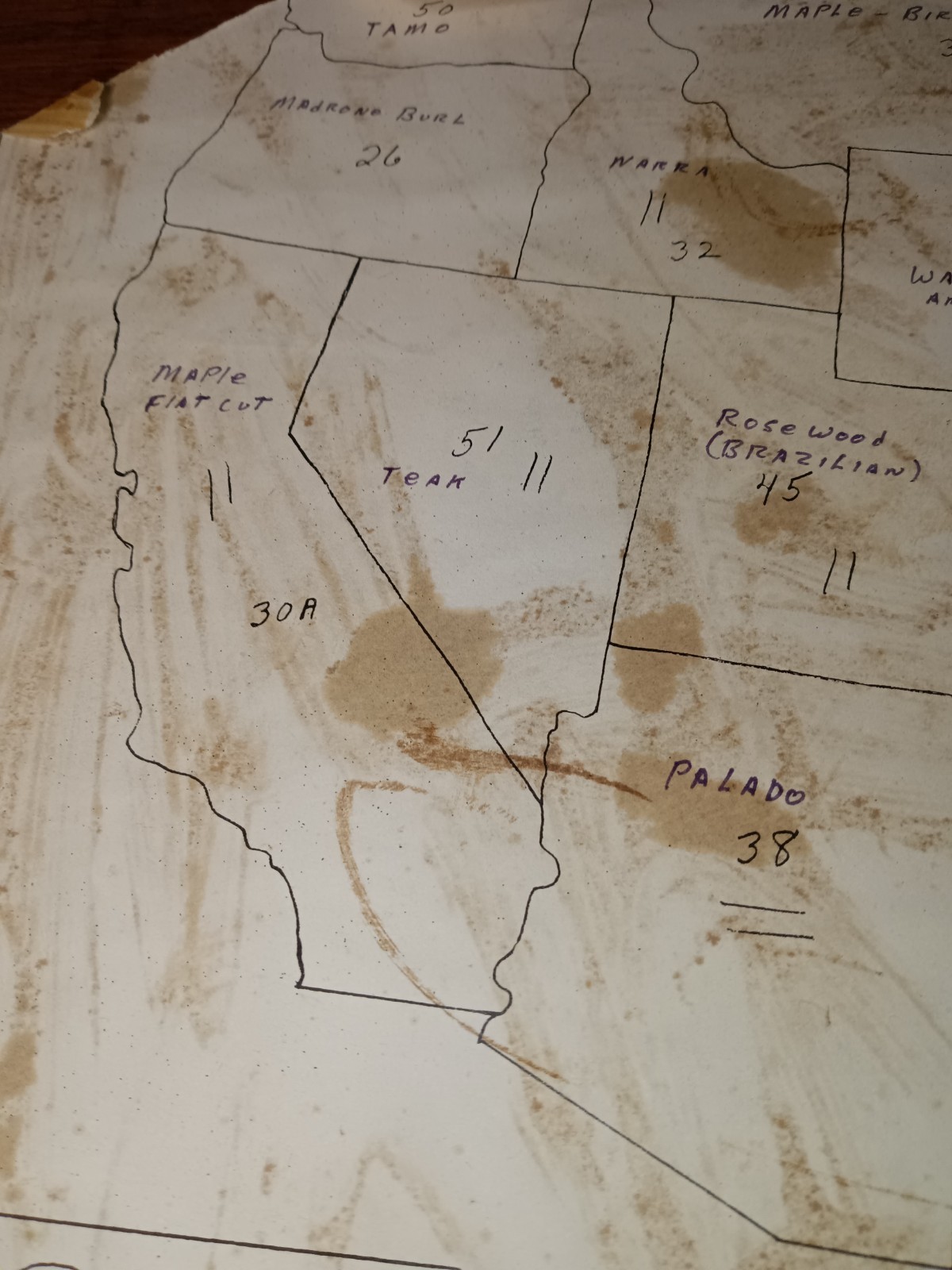 Rare Wood Inlay Map Of The USA. Unsigned Beautiful All Different Wood Hand Made