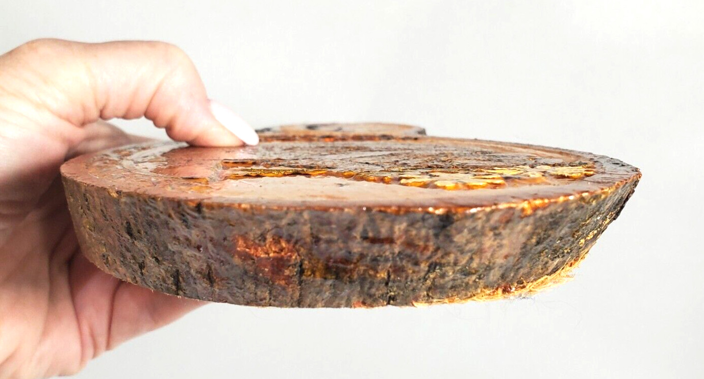Live Edge Hand Carved Burned Wall Decor HAPPY SPRING Bark Rustic 10″