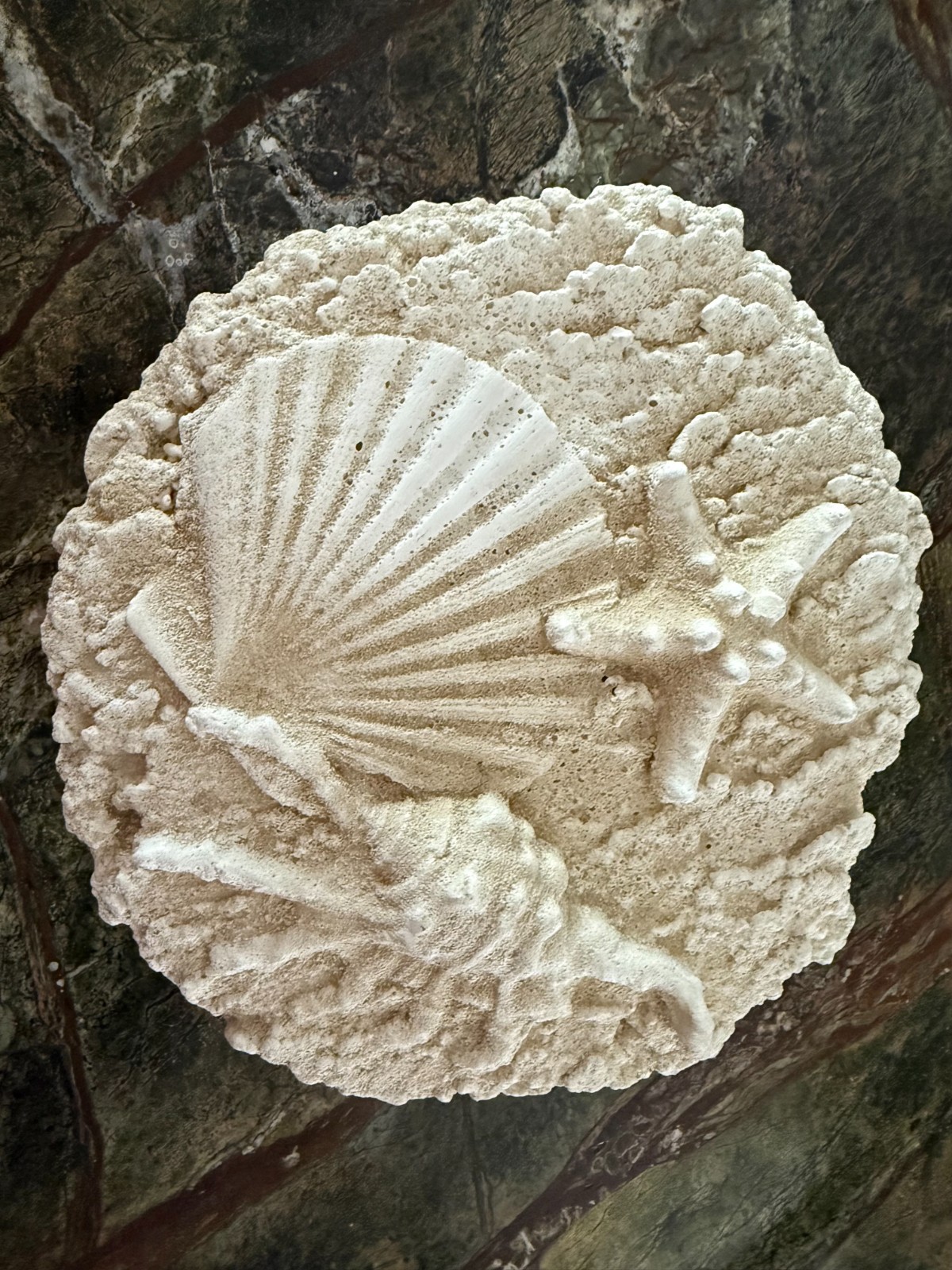Seashell Wall Plaque Starfish Shells 8 1/2 x 9″ Cast Stone Cement Coastal Decor