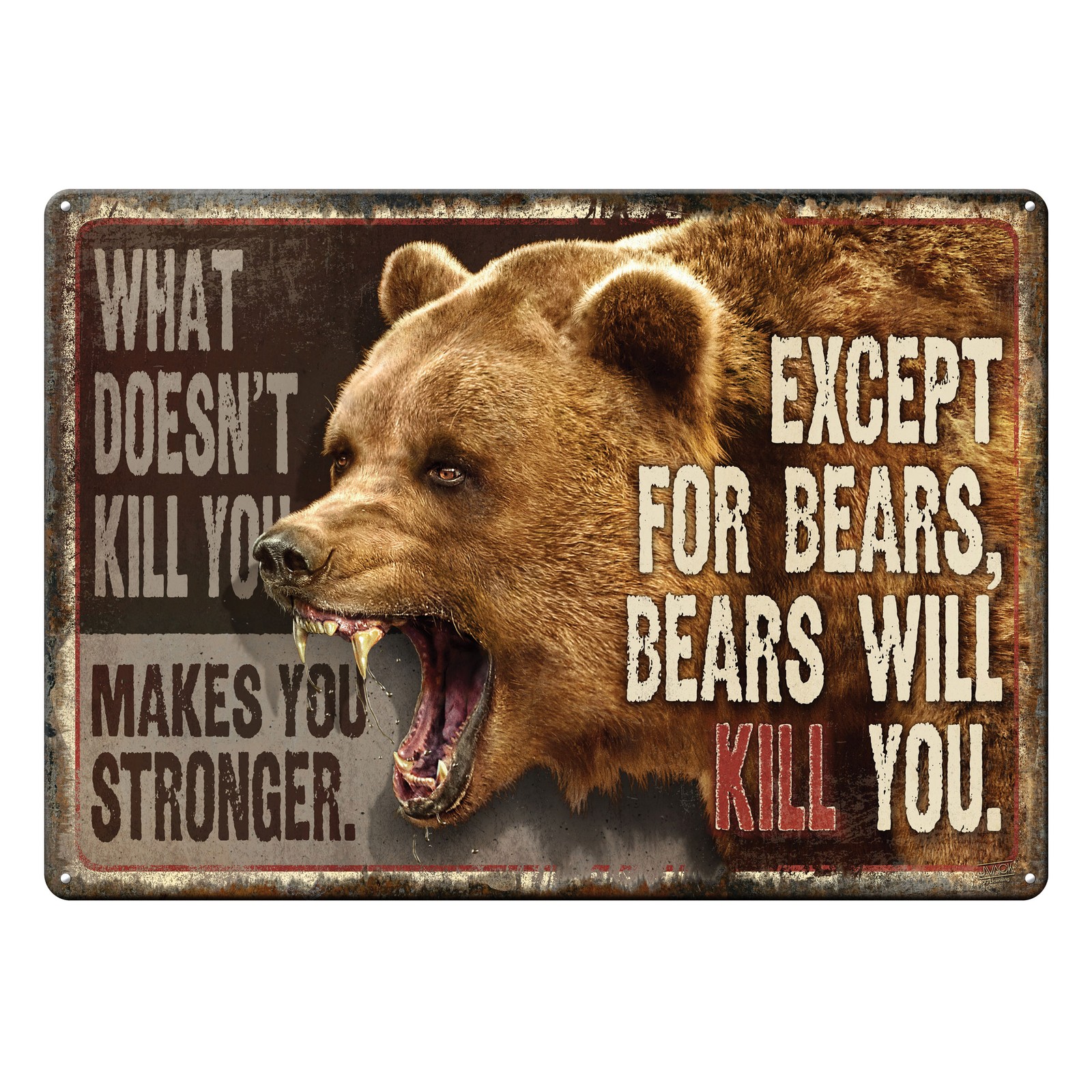 Rivers Edge Products Tin Sign, 17″ x 12″ Weatherproof Wall Art, What Doesn’t