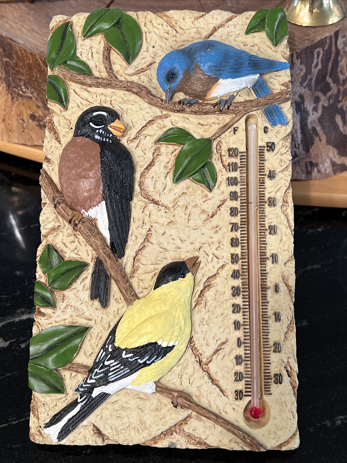 Beautiful Bird Thermometer Plaster Cement 3D Hanging Plaque 9’x5’