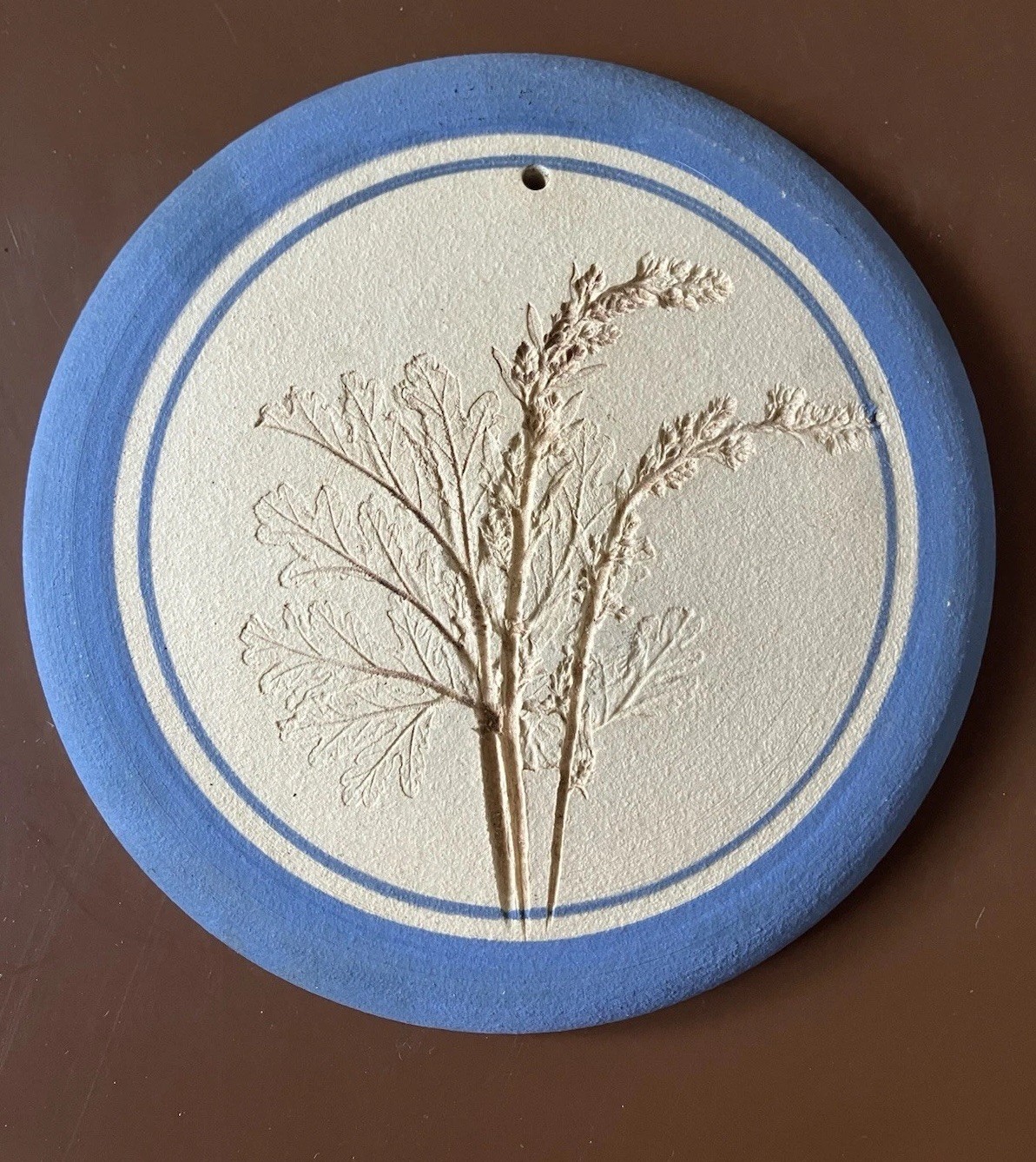 Decorative Handcrafted Round Plaster Wall Plaques Botanical Impressions 5 Inches