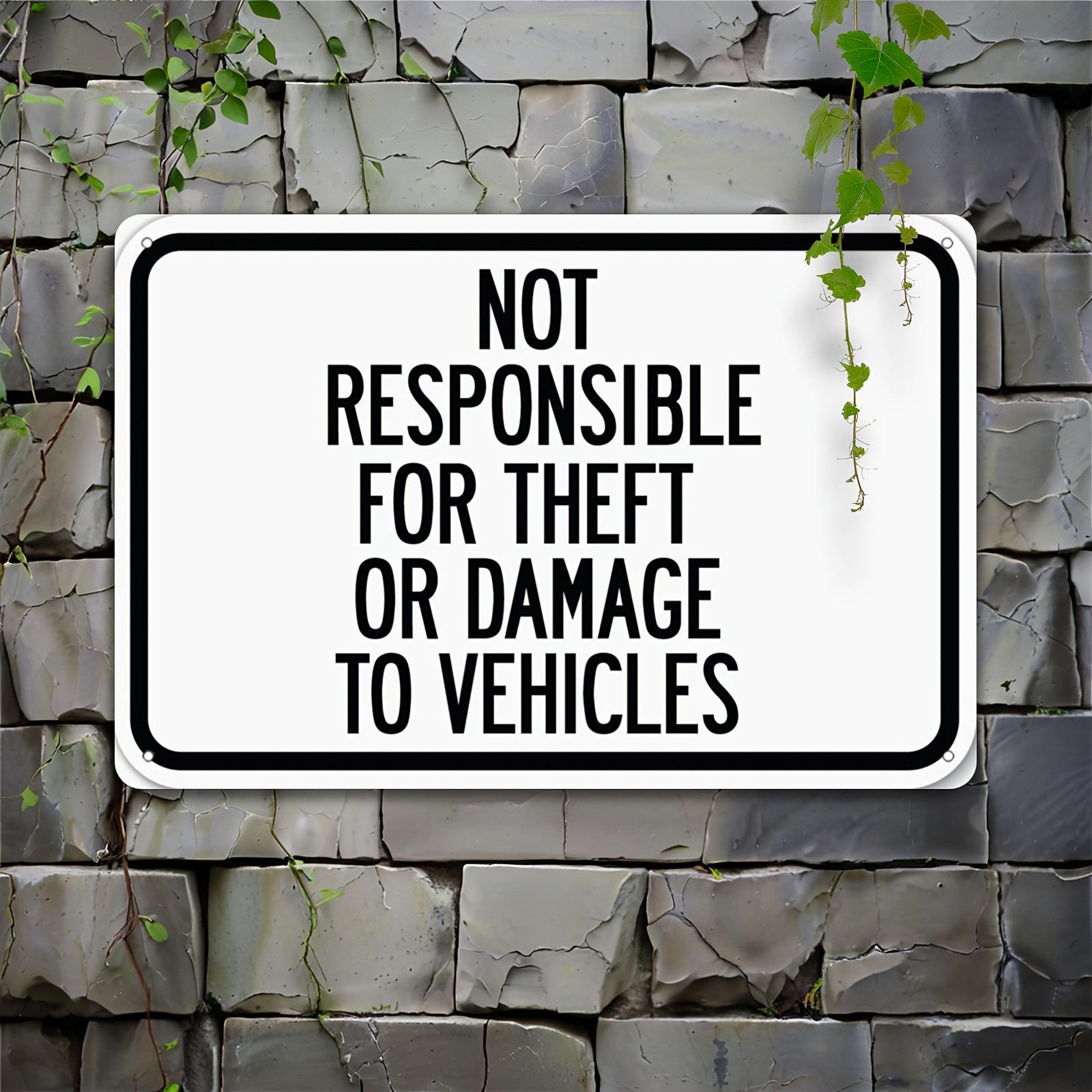 Tin Sign Metal Plaque 20*30cm 8*12in Security Decor