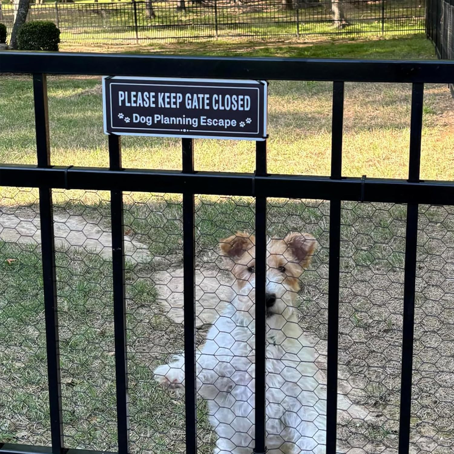 2 Pack Please Close The Gate Matal Sign – Dog Planning Escape Sign – Brushed …