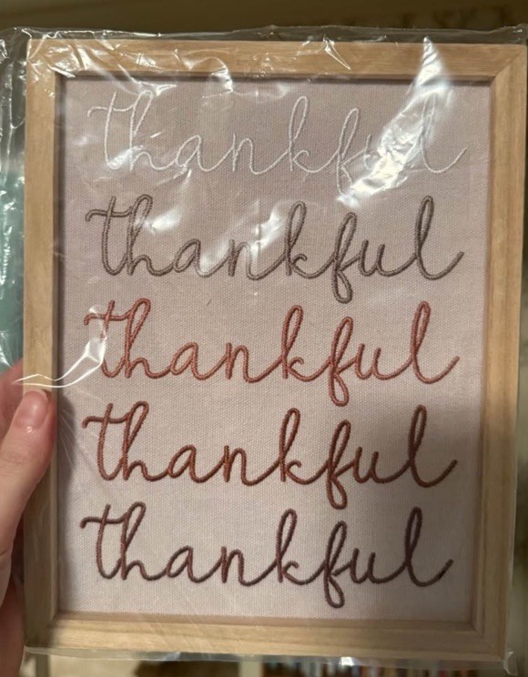 Thankful Framed Wall Sign Rustic Wood Fabric Brown Beige Modern Vertical