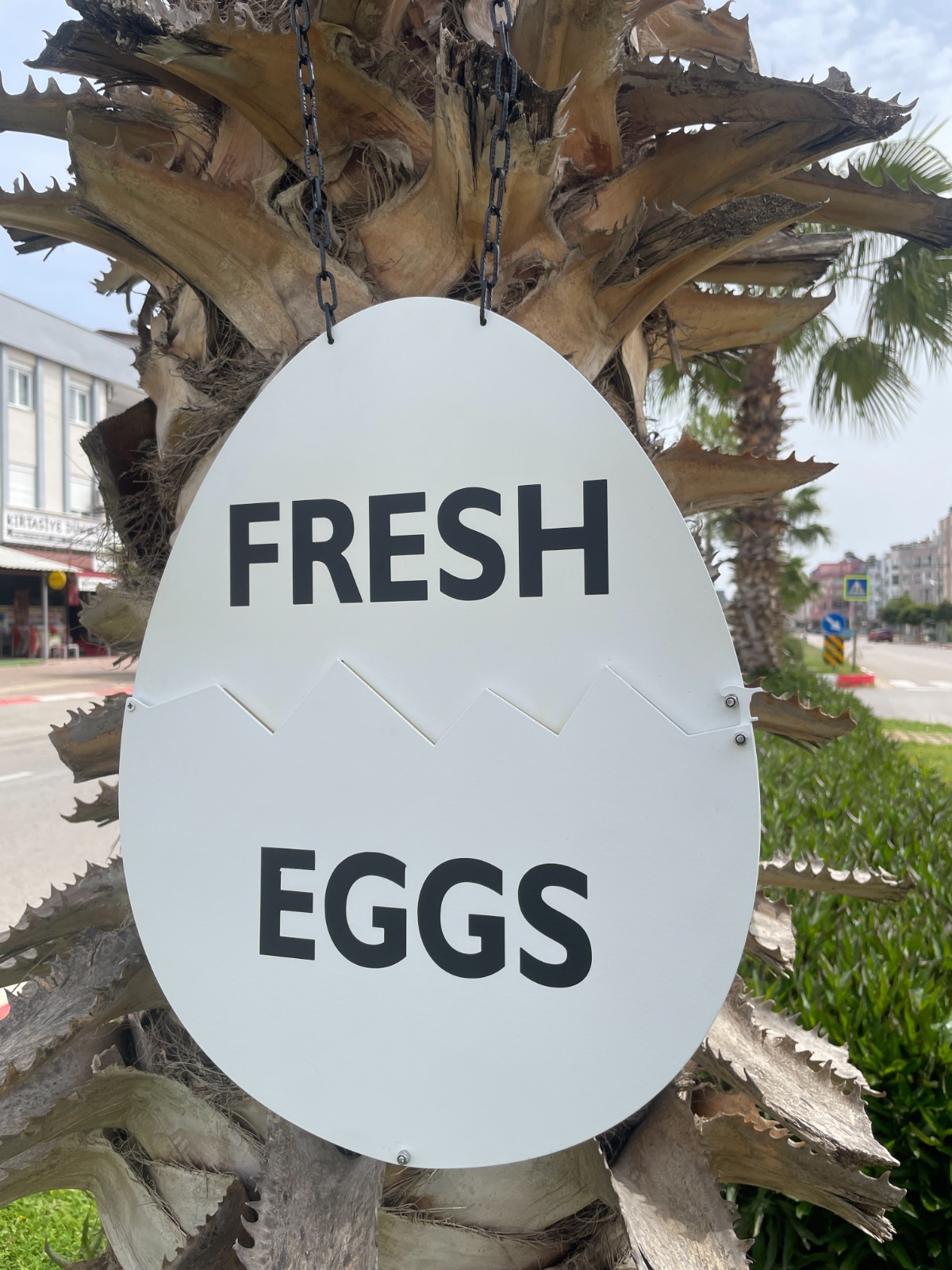 Fresh Egg Station Signs, Farm Fresh Egg Sign, Chicken Coop Eggs Sign