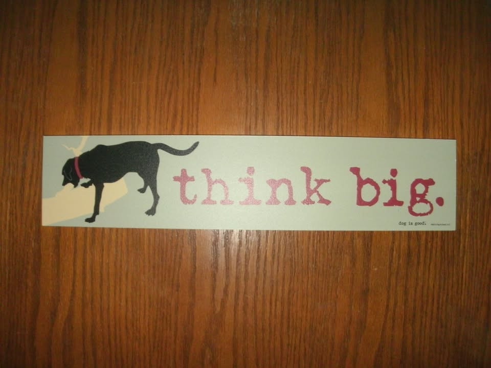 NEW Think Big Decorative Wooden Sign w/ dog & stick 16×3.5 in. green Dog Is Good