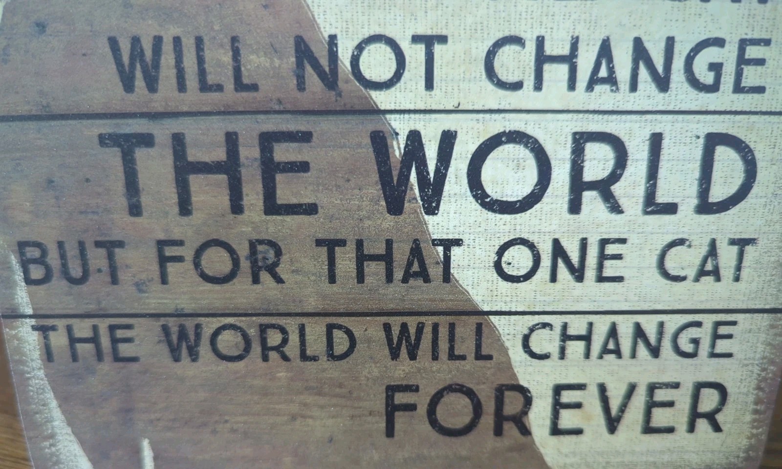 Primitives by Kathy Box Sign – Saving One Cat Will Not Change The World