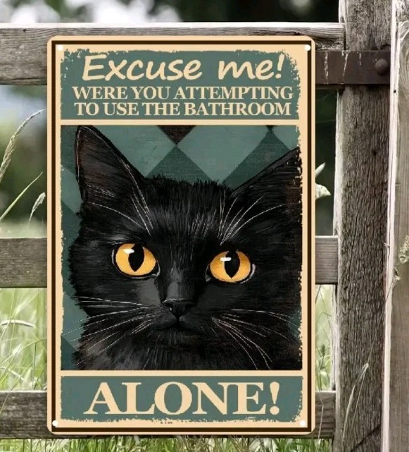 Vintage Funny Black Cat Bathroom Decor Metal Tin Sign Excuse Me Alone 8×12
