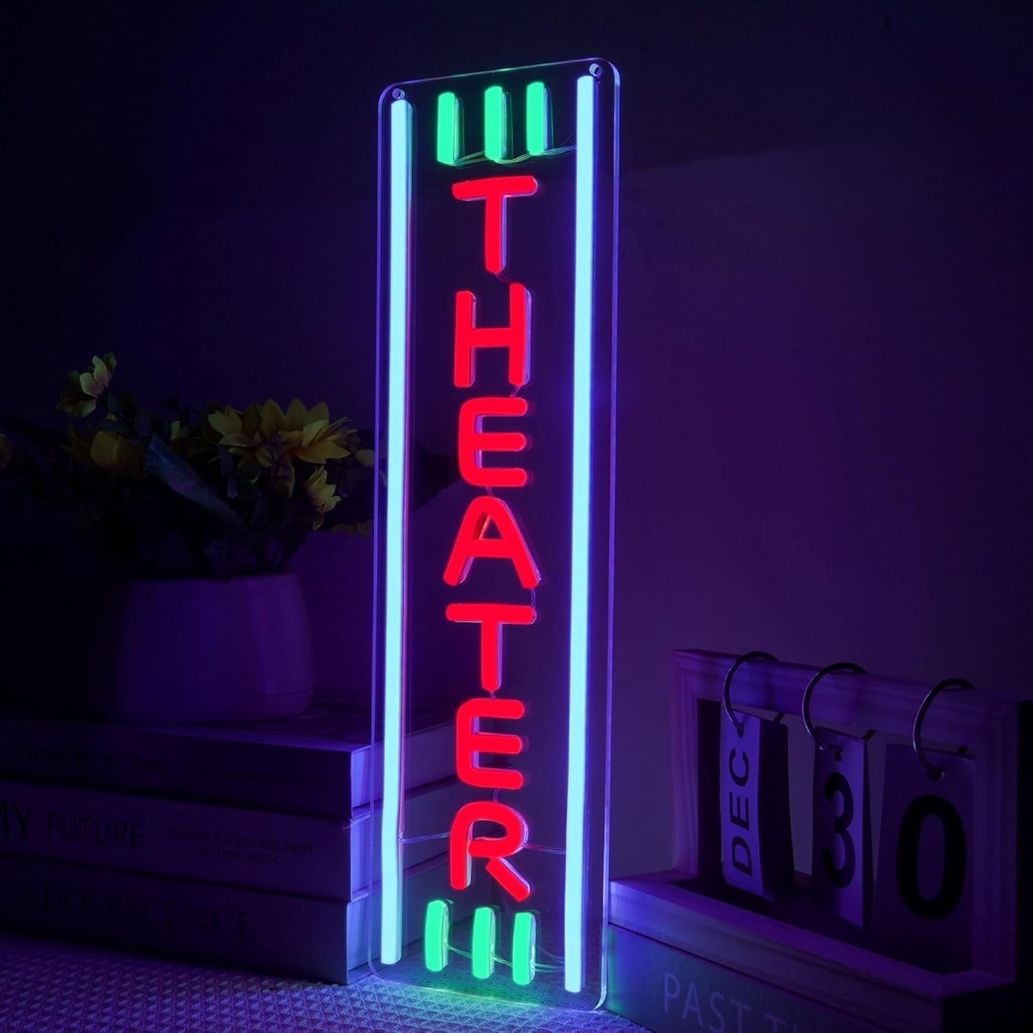 Theater Neon Sign Dimmable LED Movie Night Signs for Wall Decor Home Theater …